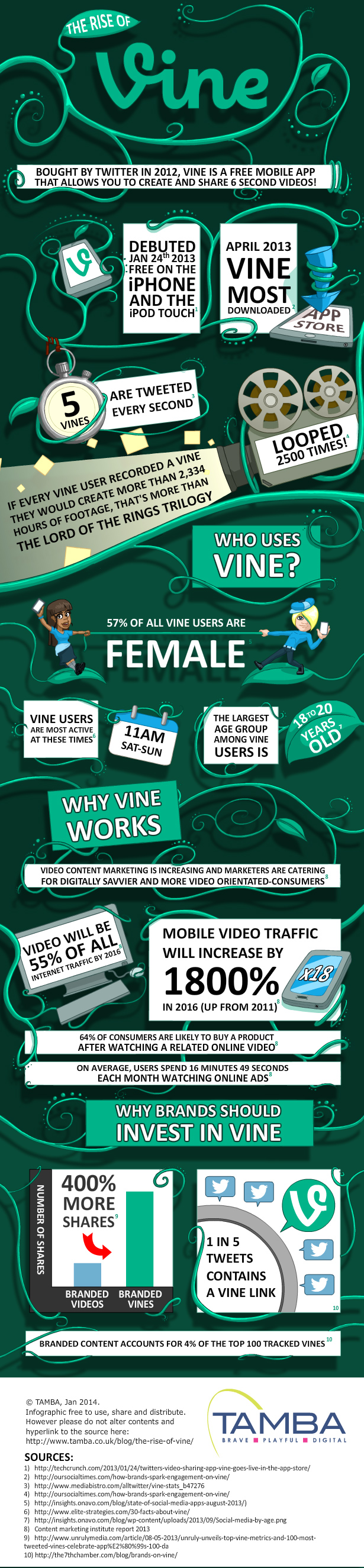 infographic-rise-of-vine-tamba